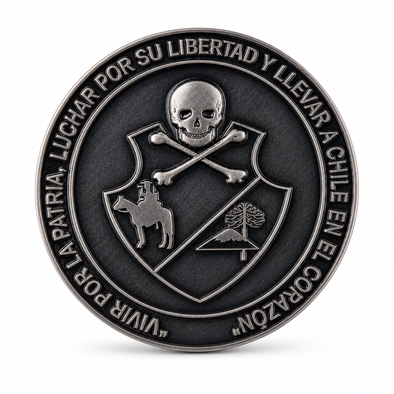 Moneda Regimiento de Caballería N.º 3 «Húsares»