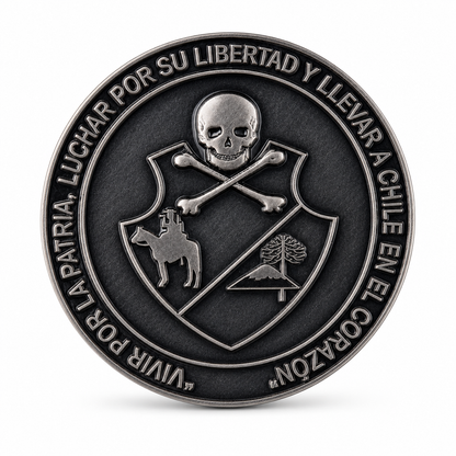 Moneda Regimiento de Caballería N.º 3 «Húsares»